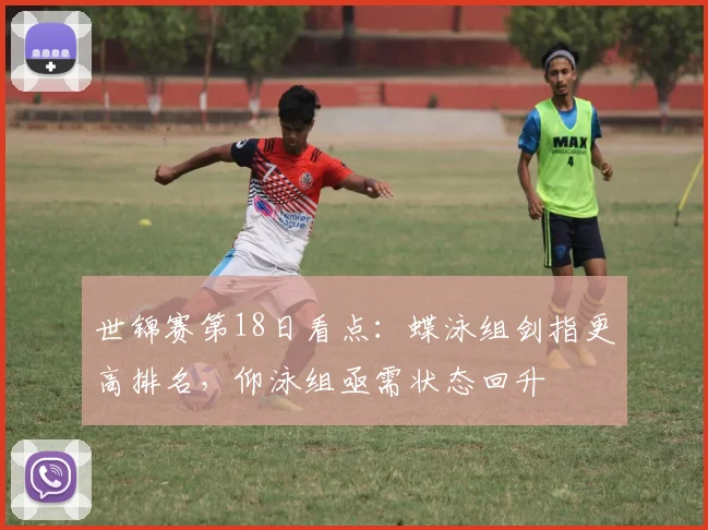 世锦赛第18日看点：蝶泳组剑指更高排名，仰泳组亟需状态回升